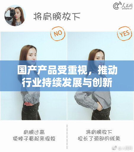 国产产品受重视，推动行业持续发展与创新