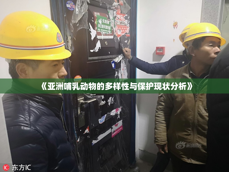 《亚洲哺乳动物的多样性与保护现状分析》