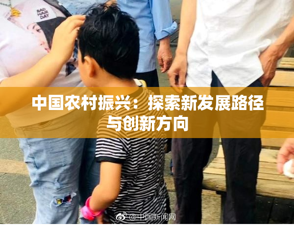 中国农村振兴：探索新发展路径与创新方向