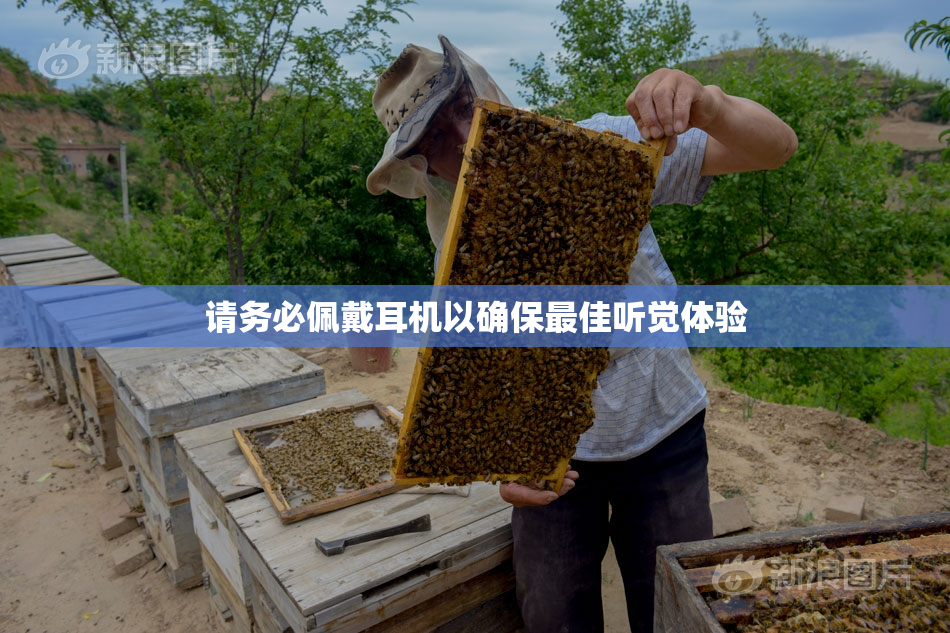 请务必佩戴耳机以确保最佳听觉体验