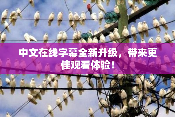 中文在线字幕全新升级，带来更佳观看体验！