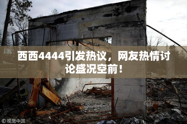 西西4444引发热议，网友热情讨论盛况空前！