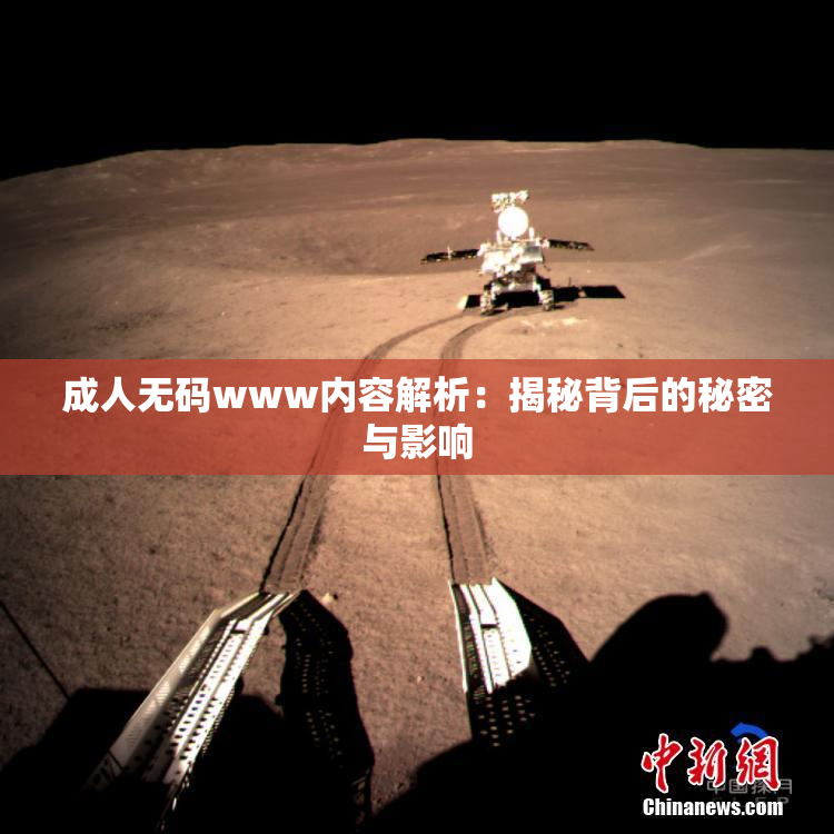 成人无码www内容解析：揭秘背后的秘密与影响
