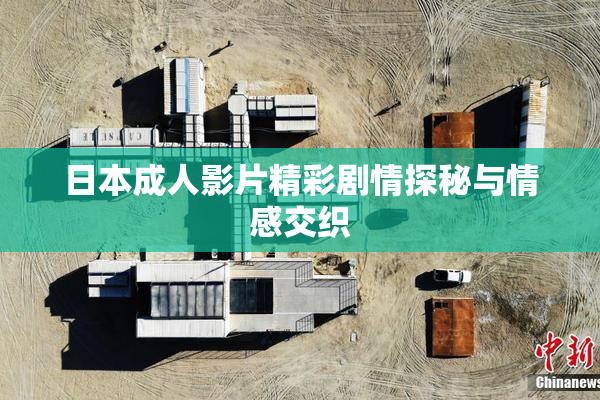 日本成人影片精彩剧情探秘与情感交织