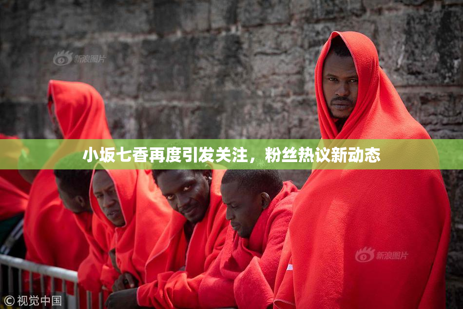 小坂七香再度引发关注，粉丝热议新动态