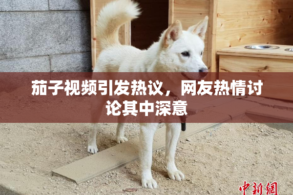 茄子视频引发热议，网友热情讨论其中深意