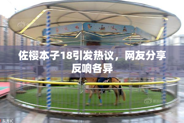 佐樱本子18引发热议，网友分享反响各异