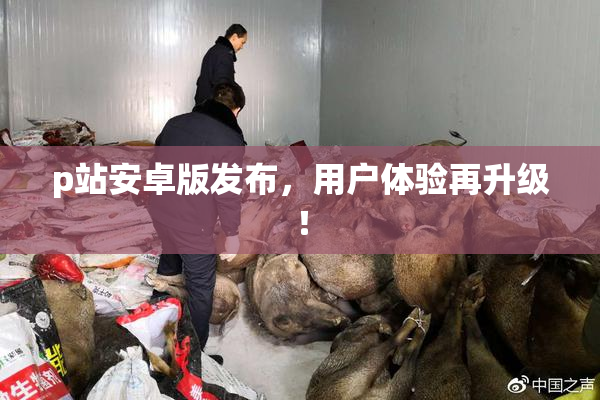 p站安卓版发布，用户体验再升级！