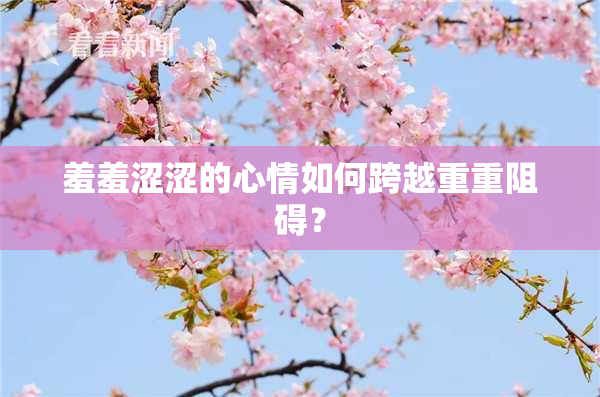 羞羞涩涩的心情如何跨越重重阻碍？