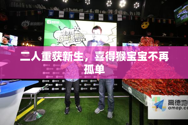 二人重获新生，喜得猴宝宝不再孤单