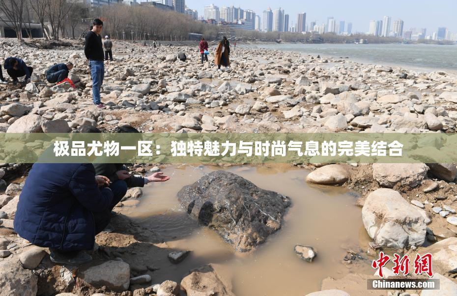 极品尤物一区：独特魅力与时尚气息的完美结合