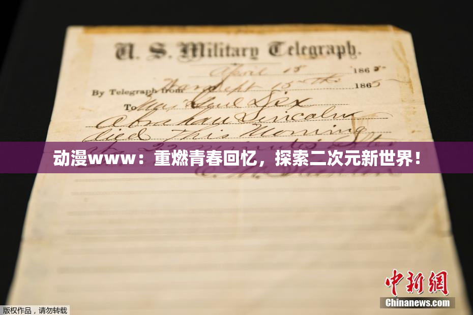 动漫www：重燃青春回忆，探索二次元新世界！