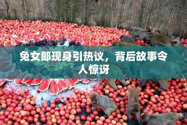 兔女郎现身引热议，背后故事令人惊讶