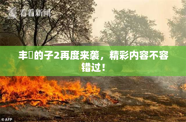 丰滿的子2再度来袭，精彩内容不容错过！