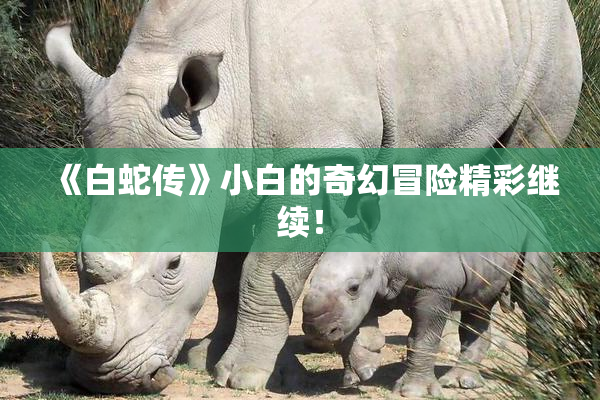 《白蛇传》小白的奇幻冒险精彩继续！