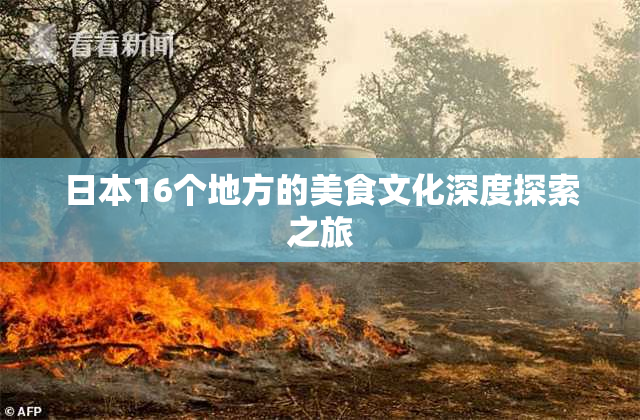 日本16个地方的美食文化深度探索之旅