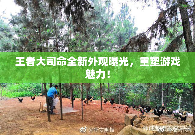 王者大司命全新外观曝光，重塑游戏魅力！