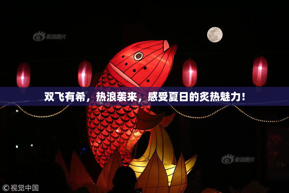 双飞有希，热浪袭来，感受夏日的炙热魅力！