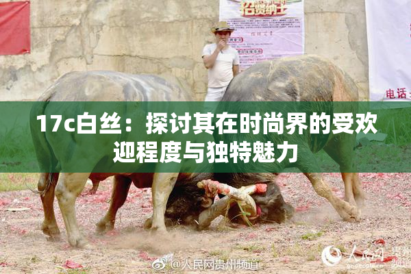 17c白丝：探讨其在时尚界的受欢迎程度与独特魅力