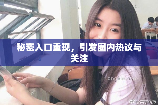 秘密入口重现，引发圈内热议与关注