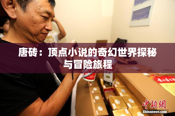 唐砖：顶点小说的奇幻世界探秘与冒险旅程