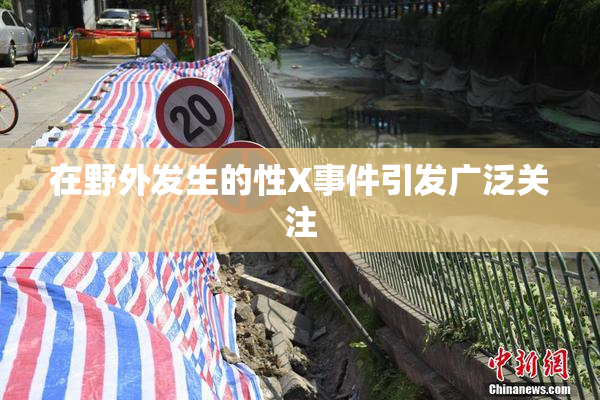 在野外发生的性X事件引发广泛关注