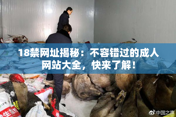 18禁网址揭秘：不容错过的成人网站大全，快来了解！