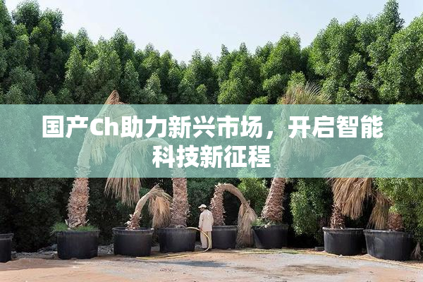 国产Ch助力新兴市场，开启智能科技新征程