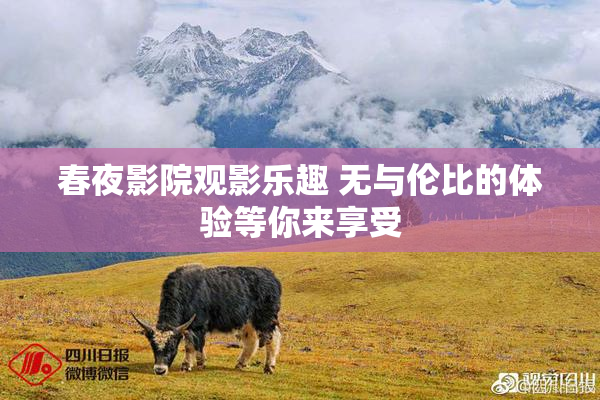 春夜影院观影乐趣 无与伦比的体验等你来享受