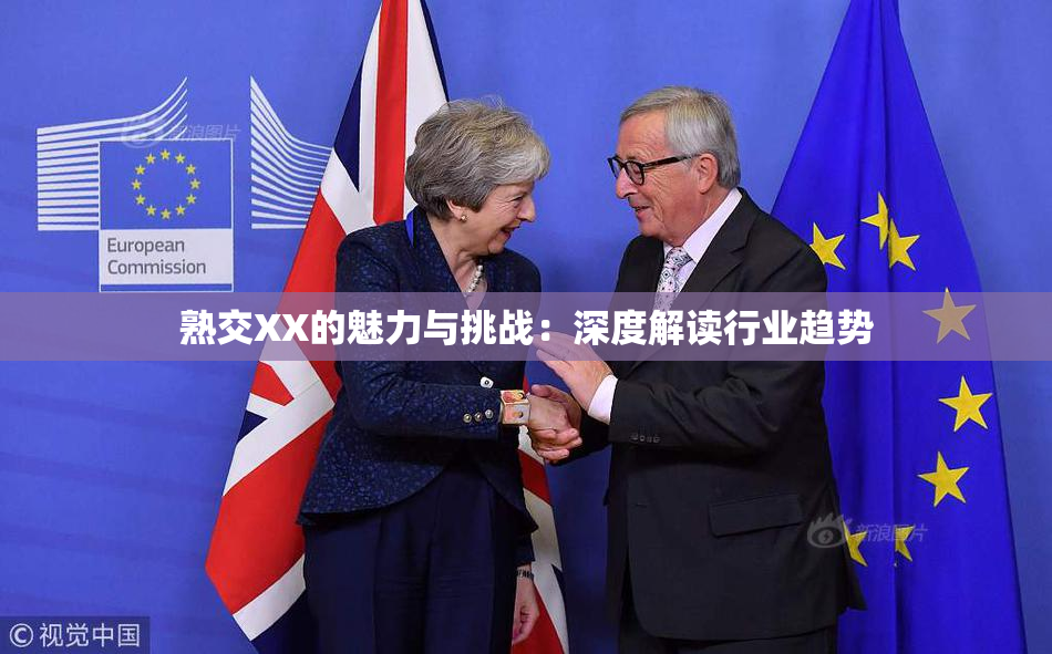 熟交XX的魅力与挑战：深度解读行业趋势