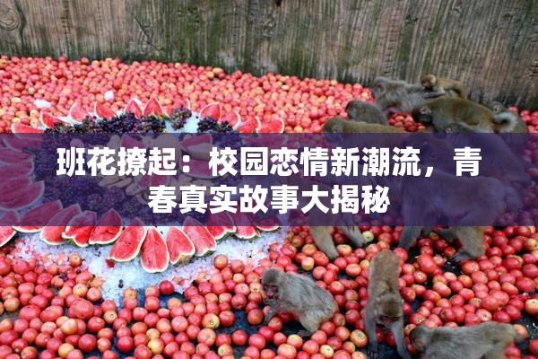 班花撩起：校园恋情新潮流，青春真实故事大揭秘