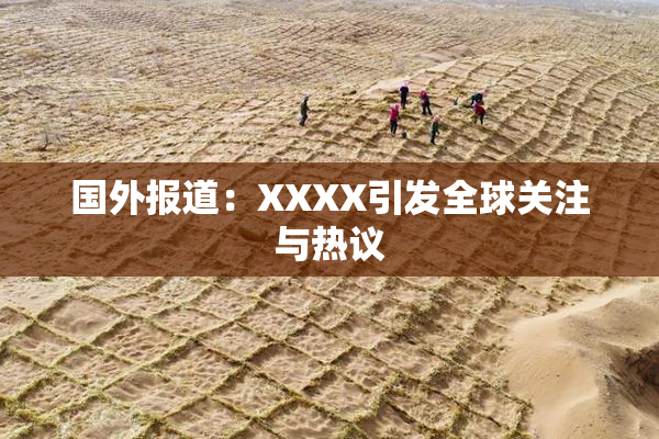 国外报道：XXXX引发全球关注与热议