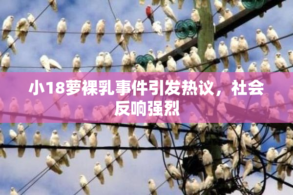 小18萝裸乳事件引发热议，社会反响强烈