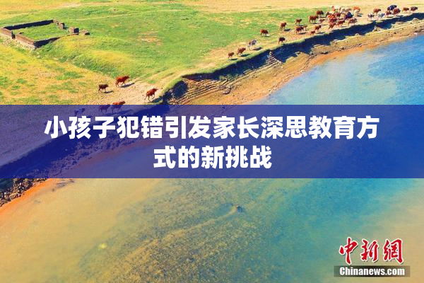 小孩子犯错引发家长深思教育方式的新挑战