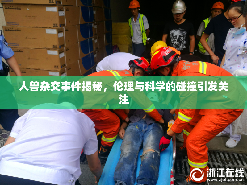 人兽杂交事件揭秘，伦理与科学的碰撞引发关注