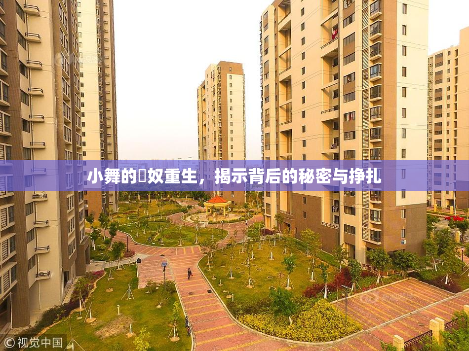 小舞的婬奴重生，揭示背后的秘密与挣扎