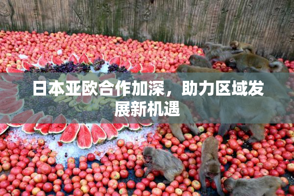 日本亚欧合作加深，助力区域发展新机遇