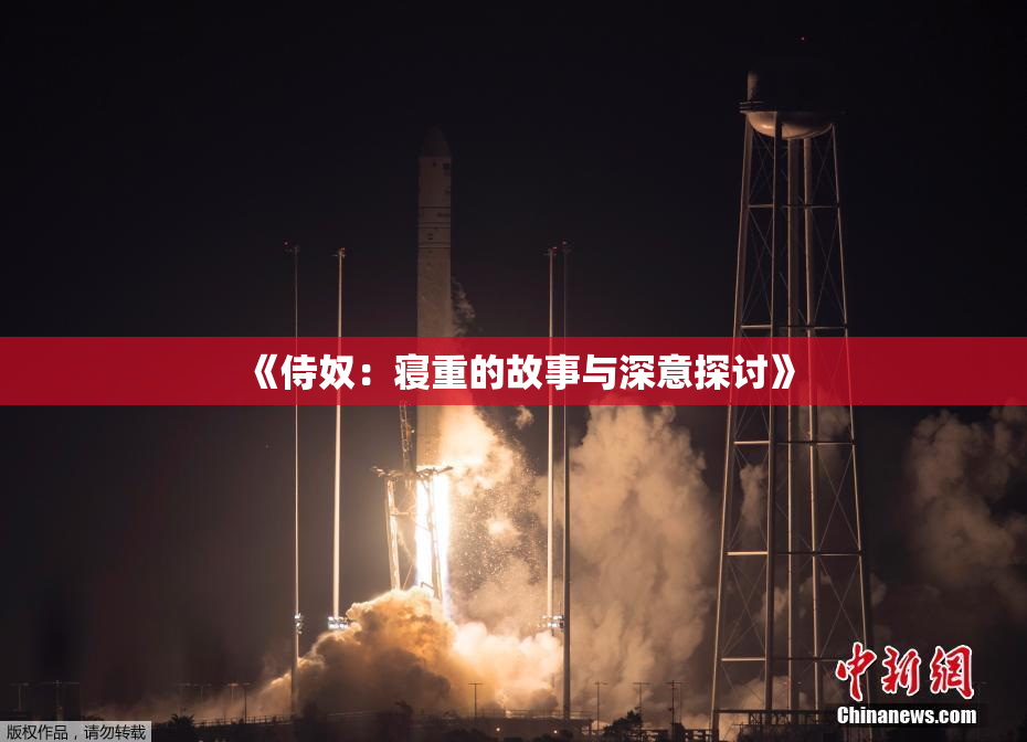 《侍奴：寝重的故事与深意探讨》