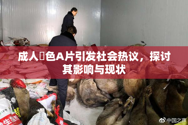 成人黃色A片引发社会热议，探讨其影响与现状