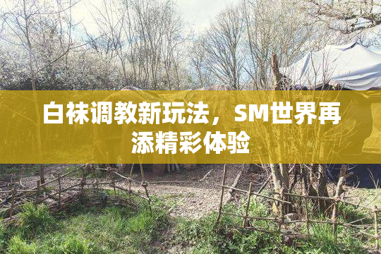 白袜调教新玩法，SM世界再添精彩体验