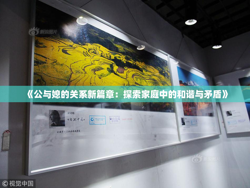 《公与媳的关系新篇章：探索家庭中的和谐与矛盾》