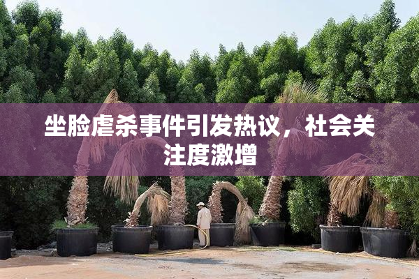 坐脸虐杀事件引发热议，社会关注度激增