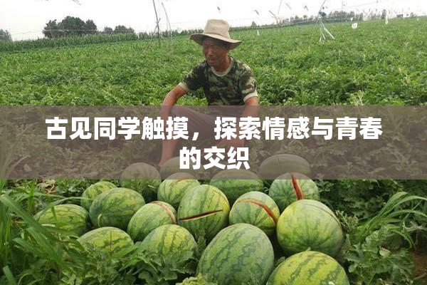 古见同学触摸，探索情感与青春的交织