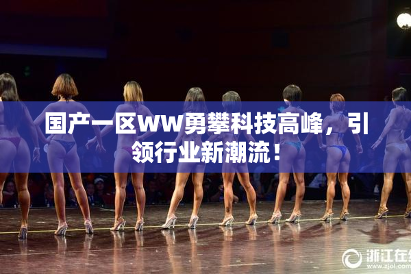 国产一区WW勇攀科技高峰，引领行业新潮流！