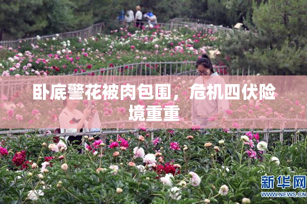 卧底警花被肉包围，危机四伏险境重重