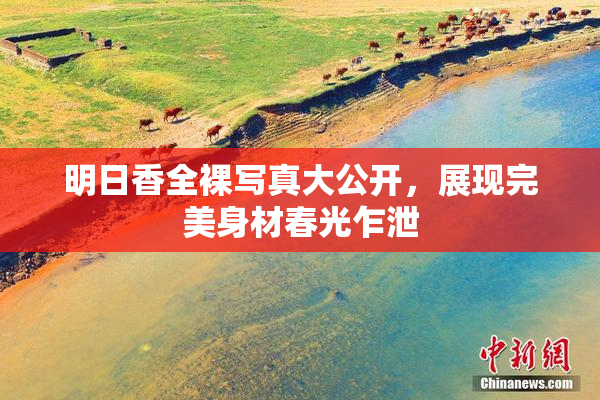 明日香全裸写真大公开，展现完美身材春光乍泄