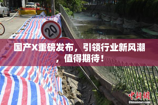 国产X重磅发布，引领行业新风潮，值得期待！