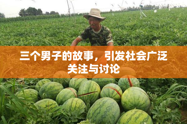 三个男子的故事，引发社会广泛关注与讨论