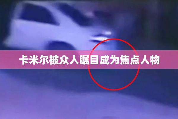 卡米尔被众人瞩目成为焦点人物
