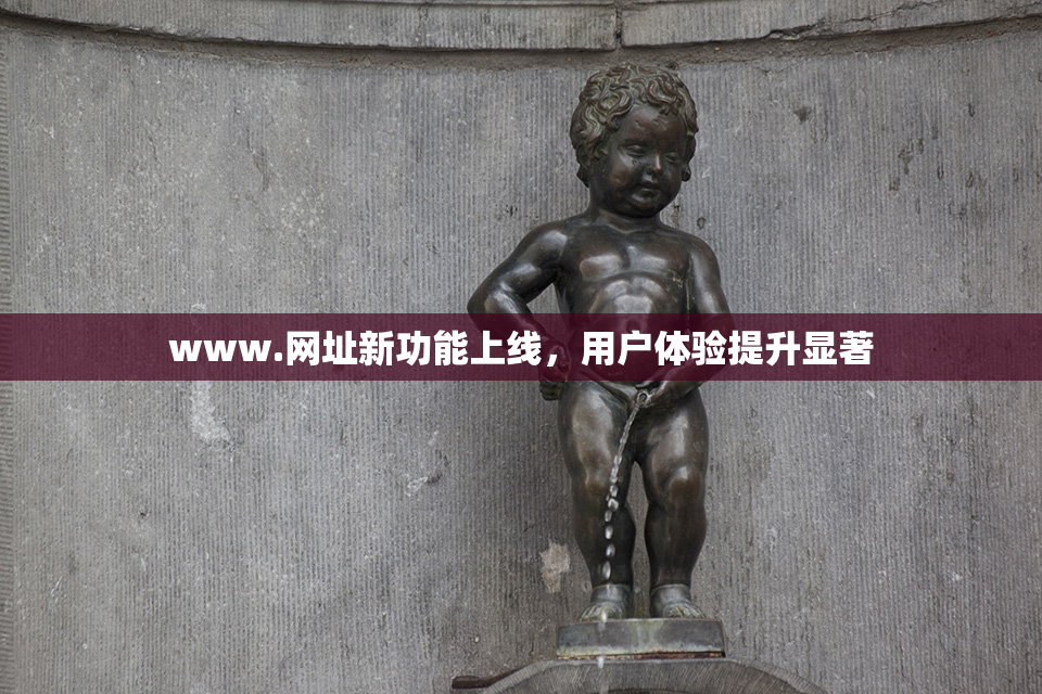 www.网址新功能上线，用户体验提升显著
